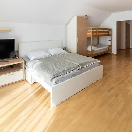 Apartmán Muznik